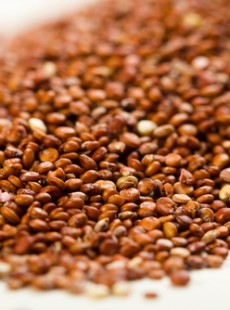 manger-cereales-peut-il-rendre-fou-201113339